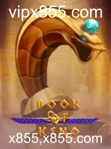 Desvendando o Fascinante Mundo do Jogo BookOfKeno em x855