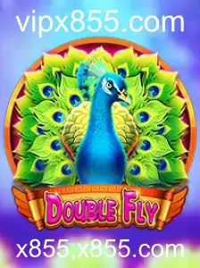 Explorando o Universo de DoubleFly: Regras e Estratégias