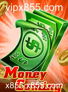 Explorando o Fascinante Mundo de MoneyComing