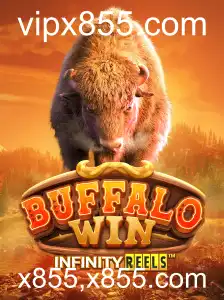 Descubra o Mundo Fascinante de BuffaloWin