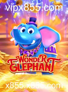 Explorando o Fascinante Mundo de WonderElephant