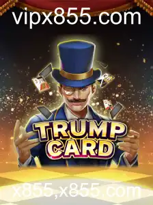 Explorando o Jogo TrumpCard: Estratégia e Diversão
